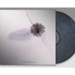 Nighttime Birds (Dark Blue Vinyl)